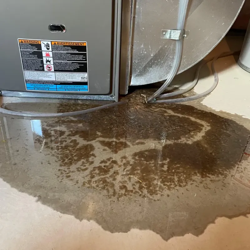 Appliance Leak Cleanup in Silver Ridge, NJ